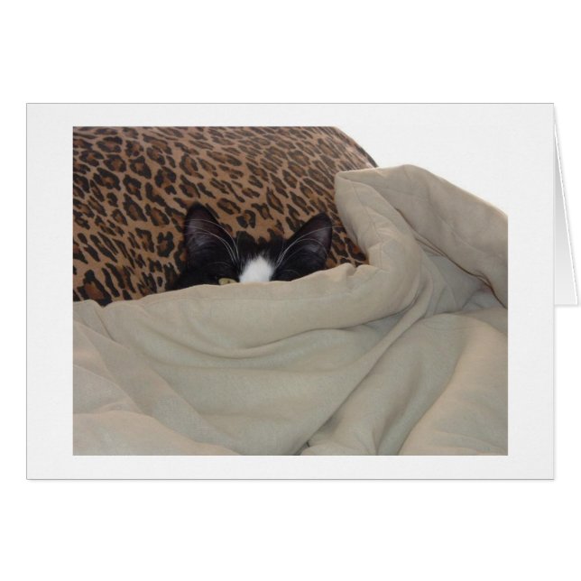 Gato negro y blanco (Anverso (Horizontal))