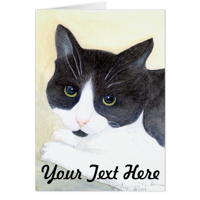 Gato negro y blanco (Frente)