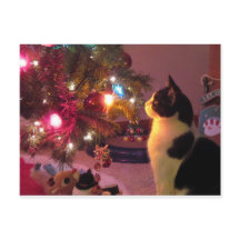 Gato negro y blanco con postal de árbol de Navidad
