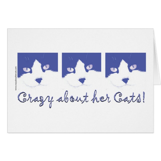 Gato negro y blanco de pelo largo (Anverso (Horizontal))