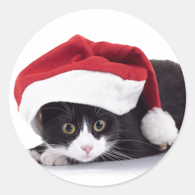 GATO NEGRO Y BLANCO EN Pegatina Santa hat (Anverso)