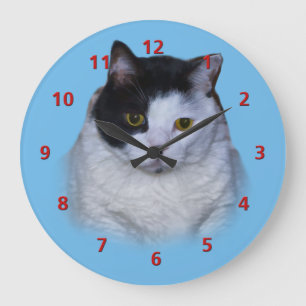 Gato negro y blanco, reloj de Personalizable