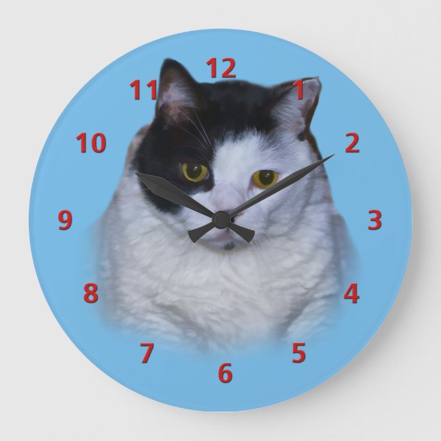 Gato negro y blanco, reloj de Personalizable (Anverso)