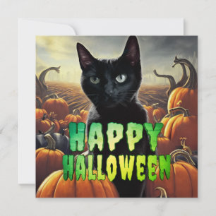 Gato negro y calabazas