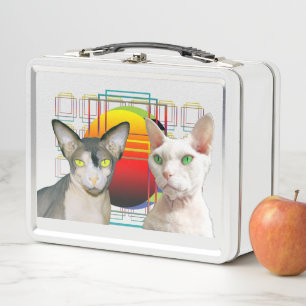 Gato Ninja Devon Rex Casper de Sphynx