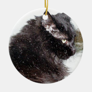 Gato noruego negro del bosque en el ornamento de