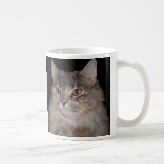 Gato peludo gris en la taza de café (Derecha)