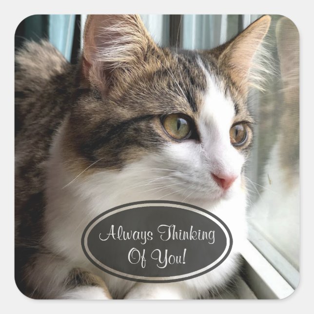 Gato Pensando En Ustedes Pegatinas (Anverso)
