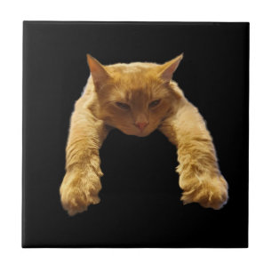 Gato Perezoso de Jengibre, Baldosa Cerámica