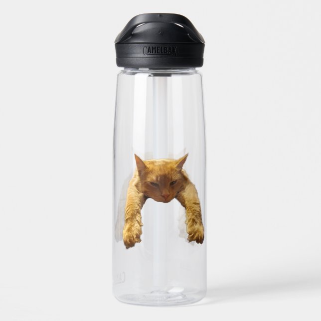 Gato perezoso jengibre, botella de agua (Atrás)