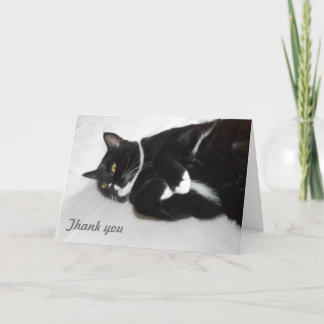 Gato perezoso tarjeta de agradecimiento