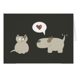 Gato Perro Amor Gracioso A Primera Vista