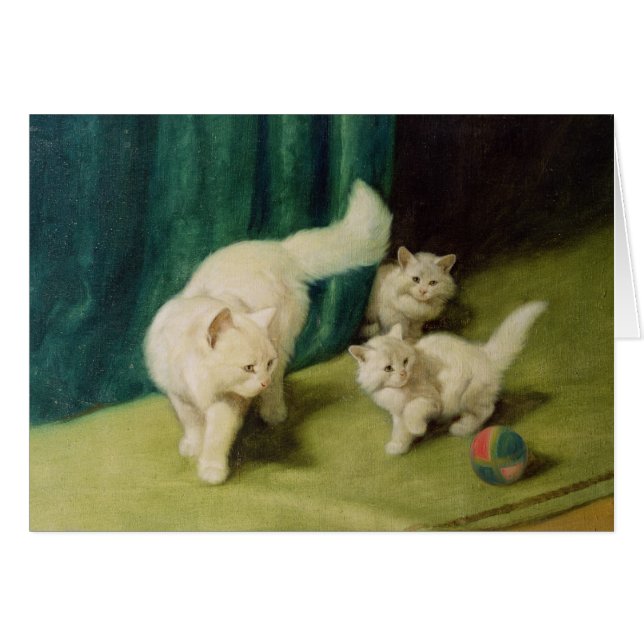 Gato persa blanco con dos gatitos (Anverso (Horizontal))