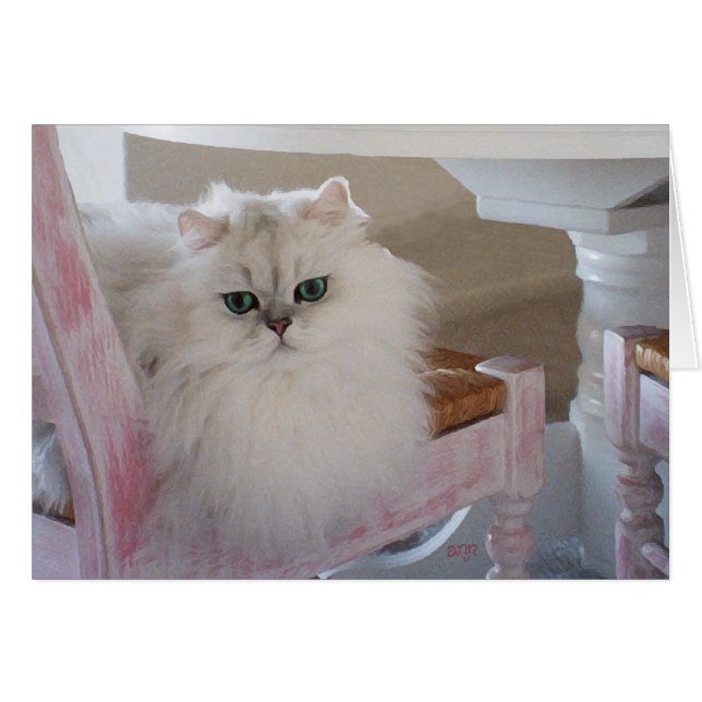 Gato Persa Blanco en una Silla Rosa (Anverso (Horizontal))