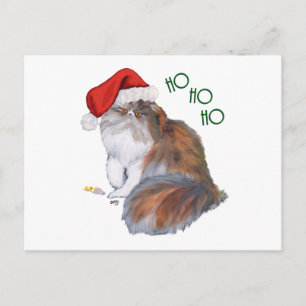 Gato Persa Calico Navidad
