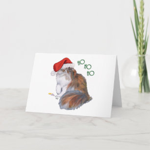 Gato Persa Calico Navidad