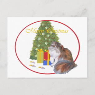 Gato Persa Calico Navidad