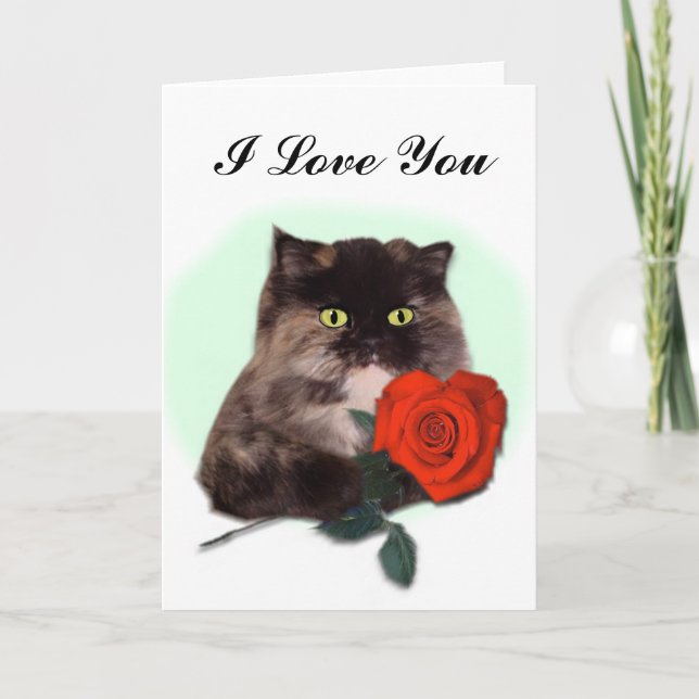 Gato persa con la tarjeta del rosa rojo (Anverso)