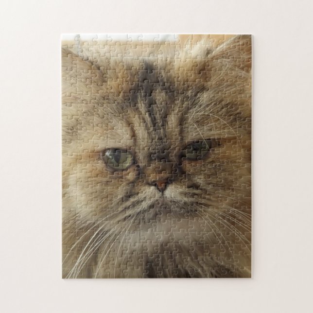 GATO PERSA HERMOSO JIGSAW PUZZLE (Vertical)