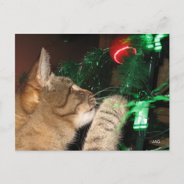 Gato Phat y el árbol de Navidad (Anverso)
