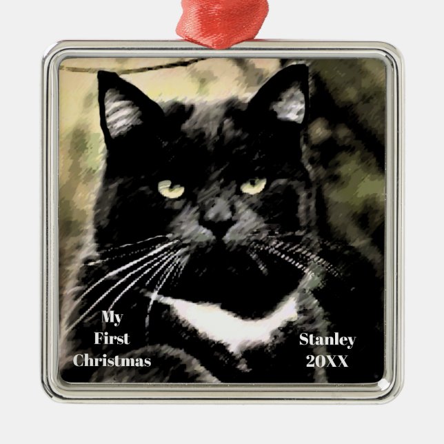 Gato plateado: primeros ornamentos de fotos de Nav (Frente)