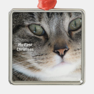 Gato plateado: primeros ornamentos de fotos de Nav