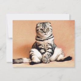 Gato plegado escocés sentado en un cruce de postal