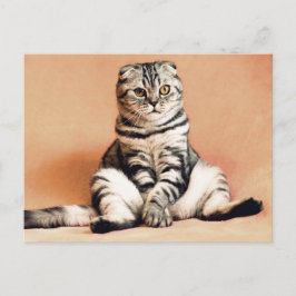 Gato plegado escocés sentado en un cruce de postal
