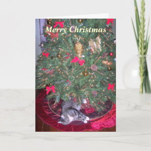 Gato por debajo la tarjeta de Navidad del árbol