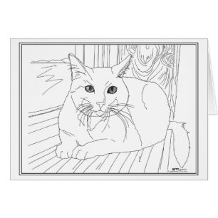 Gato preciso en la ventana