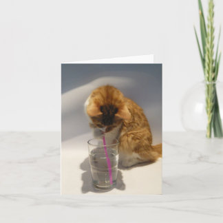 Gato que bebe de tarjeta de nota del espacio en