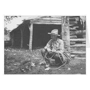 Gato que come fuera de una poder de café con un