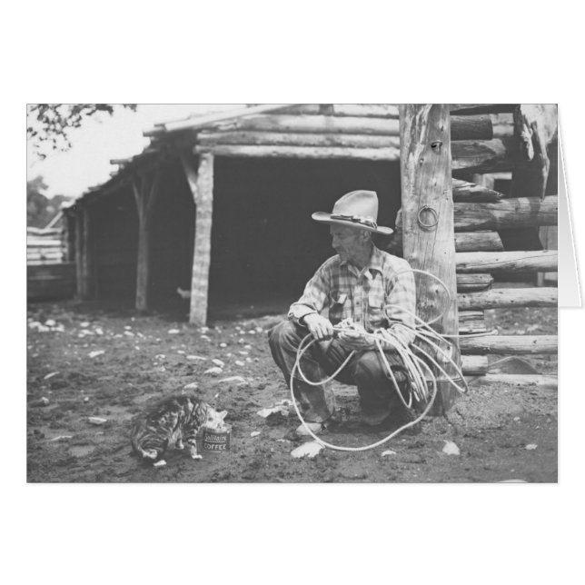 Gato que come fuera de una poder de café con un (Anverso (Horizontal))