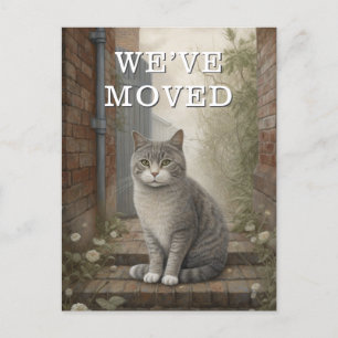 Gato Que Hemos Movido Invitación En Movimiento