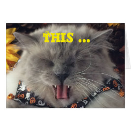 Gato que oscila hacia fuera a la música, tarjeta