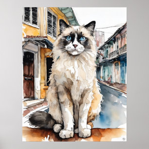 Gato Ragdoll - Dibujo de arte para gatos