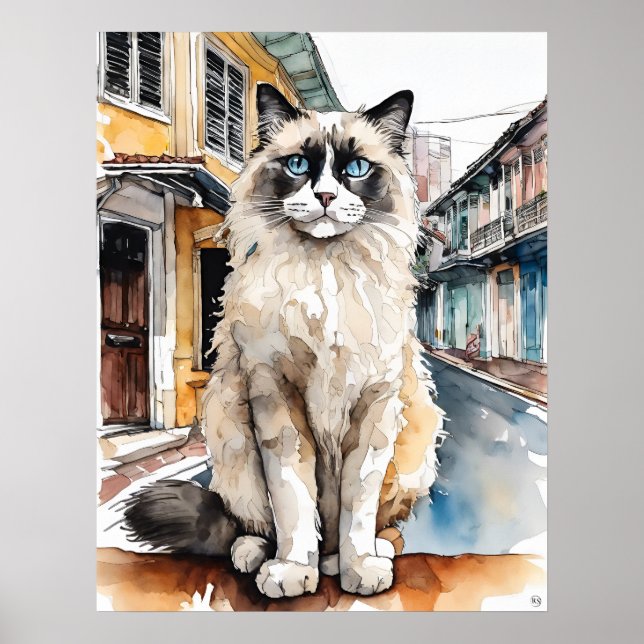 Gato Ragdoll - Dibujo de arte para gatos (Frente)