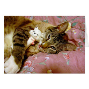 Gato real, gato falso