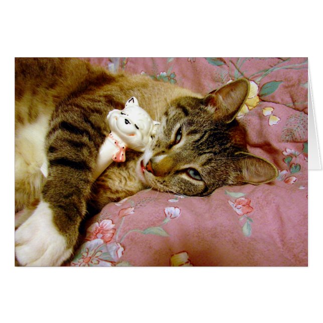 Gato real, gato falso (Anverso (Horizontal))