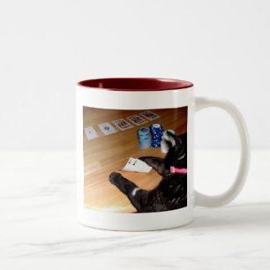 Gato real que juega la taza de café del póker