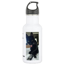 Gato remoto botella de agua divertida KC deporte b