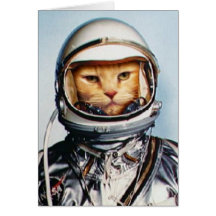 Gato retro astronauta