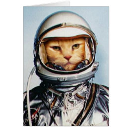 Gato retro astronauta