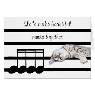 Gato romántico bengalí