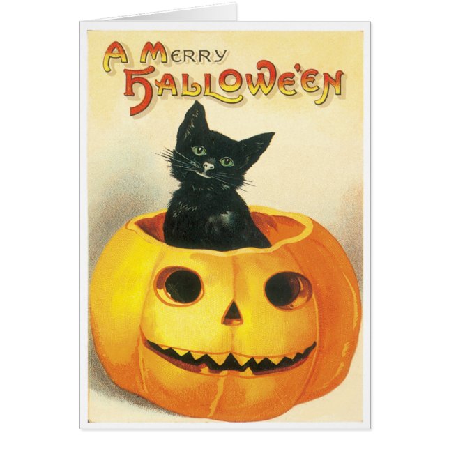 Gato Sentado En Una Tarjeta Vintage De Calabaza (Frente)