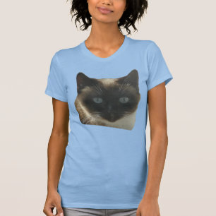 Gato siamés con camiseta de ojos azules brillantes