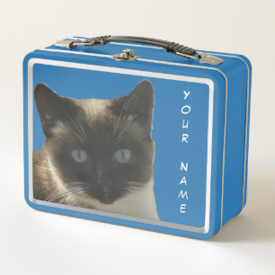 Gato siamés con los ojos azules brillantes