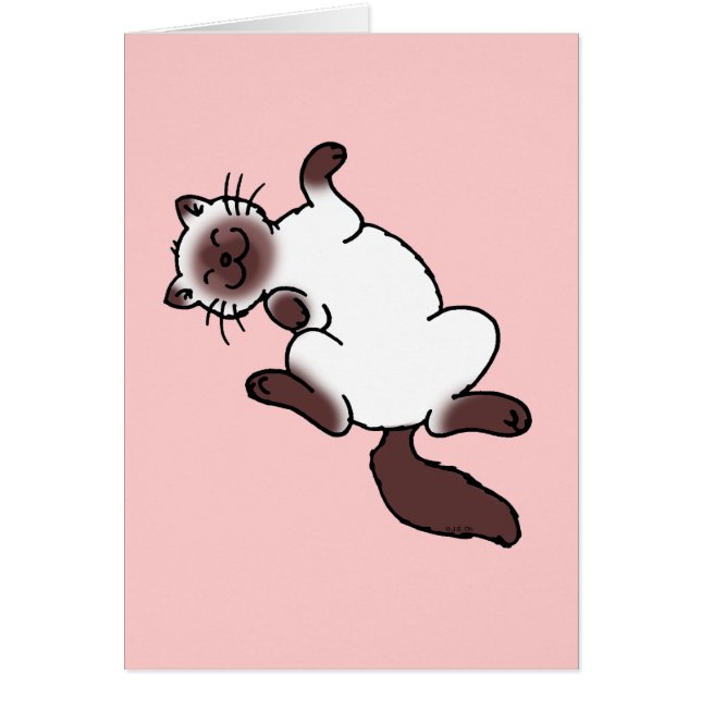 Gato siamés del punto lindo del chocolate (Frente)