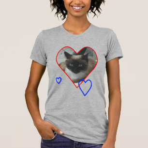 Gato siamés en camiseta del corazón