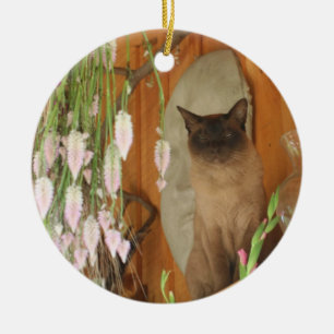 Gato Siamés En La Plataforma Flora Ornamento Anima